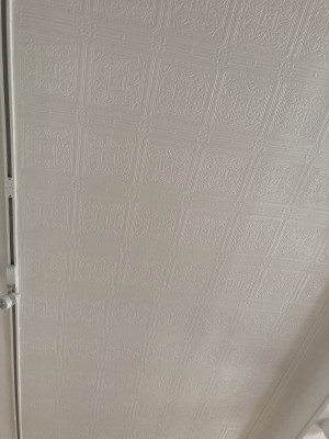 Celing Wallpaper for  Codys of Capel Street, Furniture Shop and Art Gallery, Dublin by Abhaile Decorators, Ireland