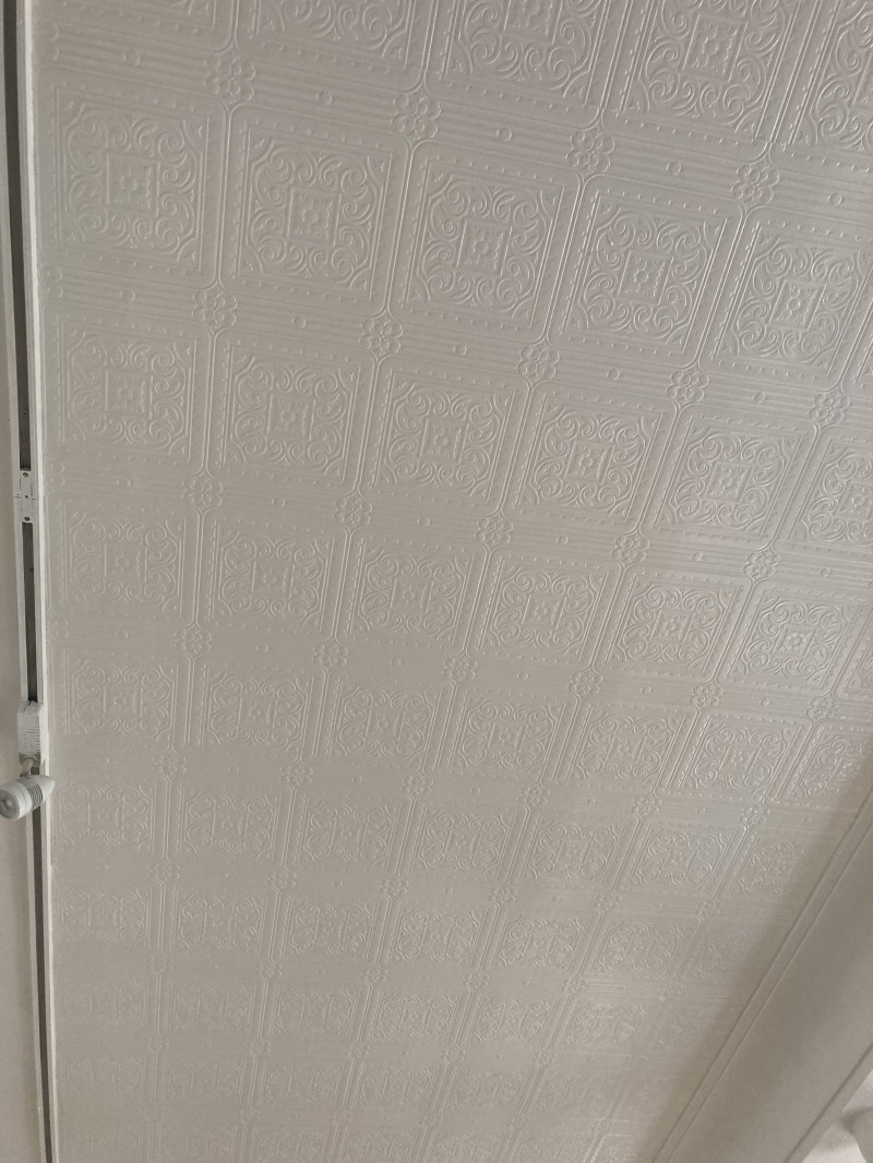 Celing Wallpaper for  Codys of Capel Street, Furniture Shop and Art Gallery, Dublin by Abhaile Decorators, Ireland